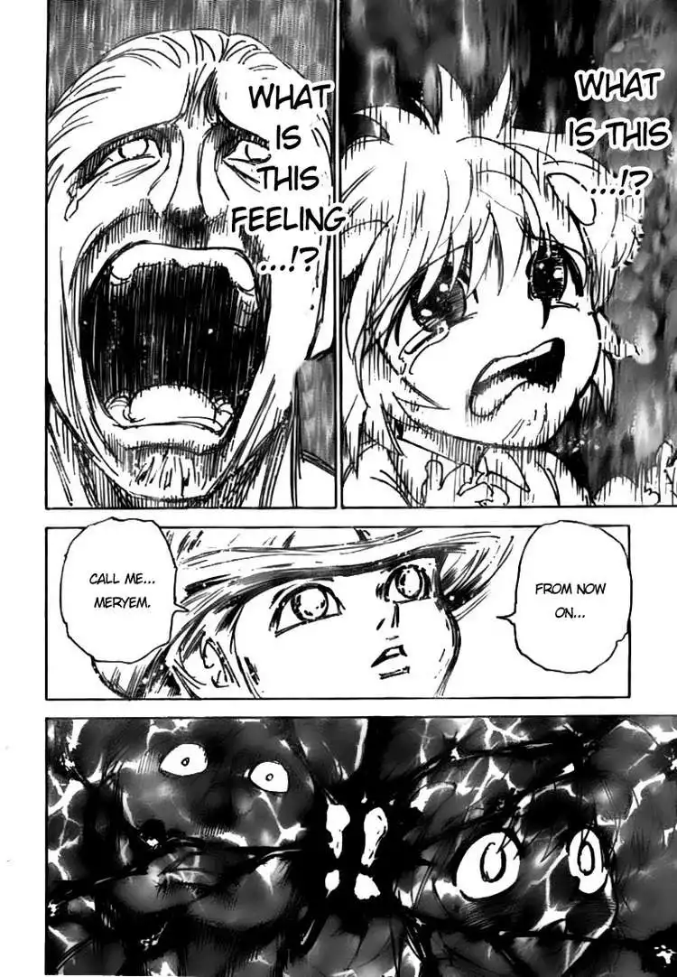 Hunter x Hunter Chapter 299 14